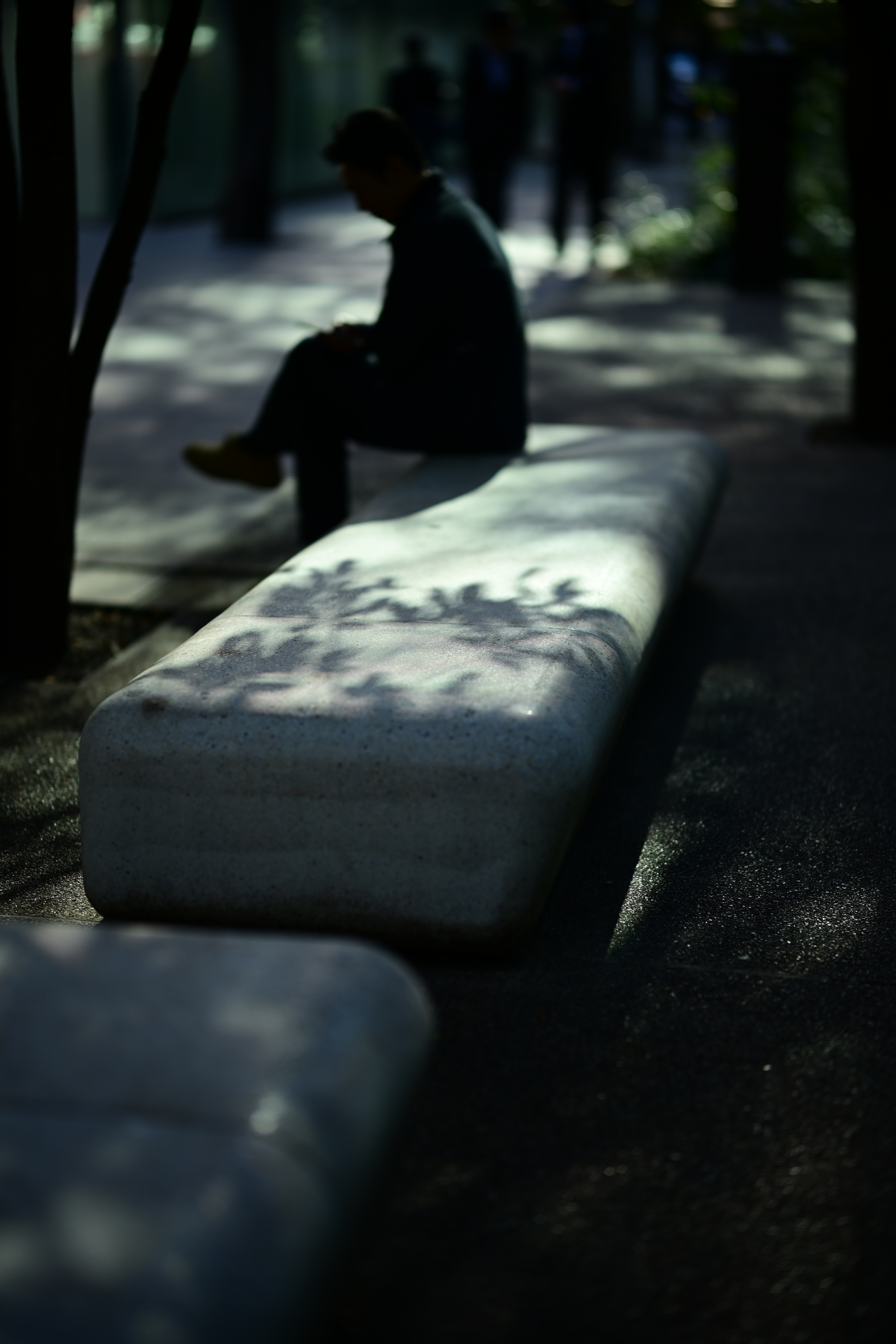 Nikon Z 7　NIKKOR Z 58mm f/0.95 S Noct　ISO 64　F0.95　1/800秒