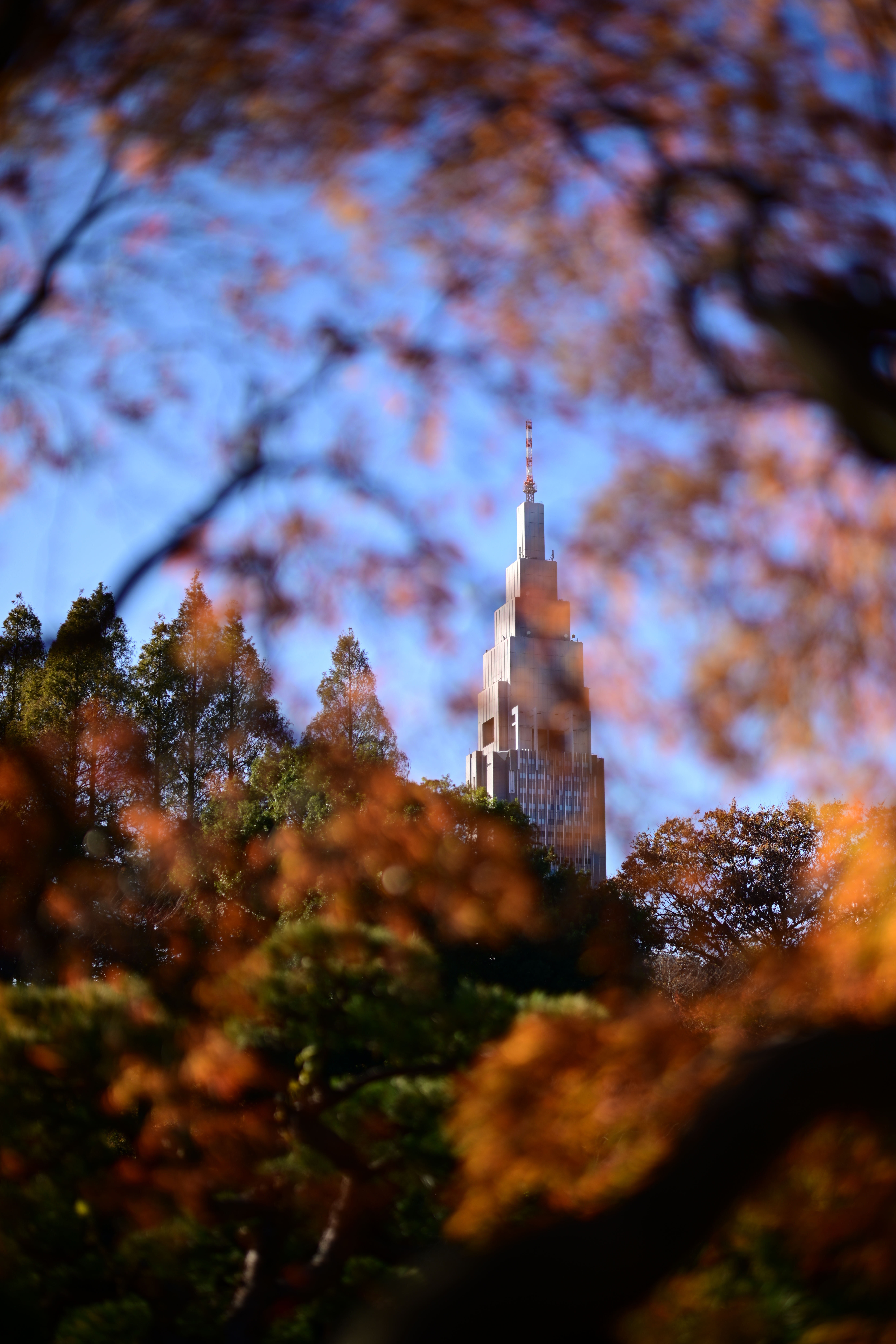 Nikon Z 7　NIKKOR Z 58mm f/0.95 S Noct　ISO 50相当　F0.95　1/6,400秒