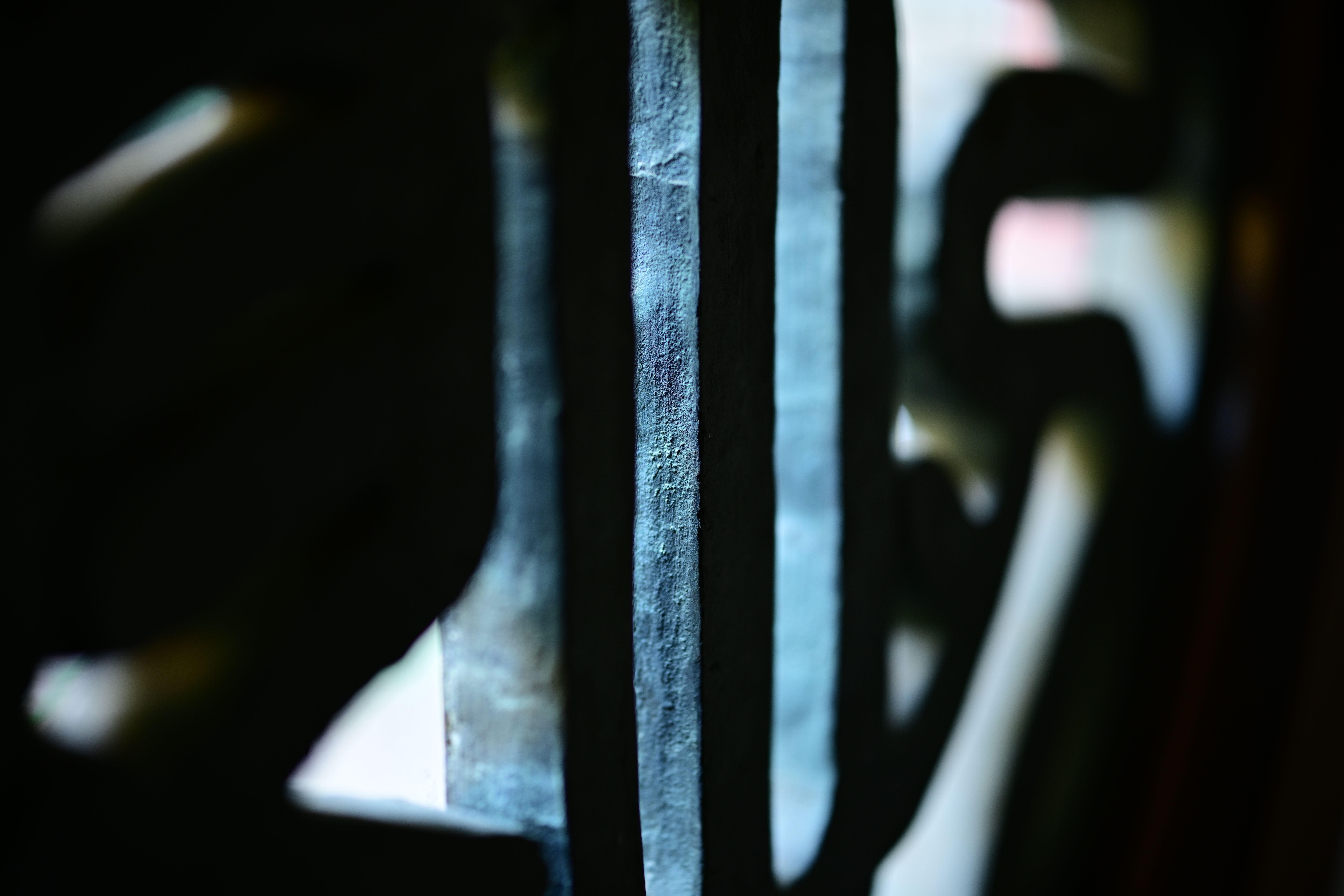 Nikon Z 7　NIKKOR Z 58mm f/0.95 S Noct　ISO 400　F0.95　1/30秒