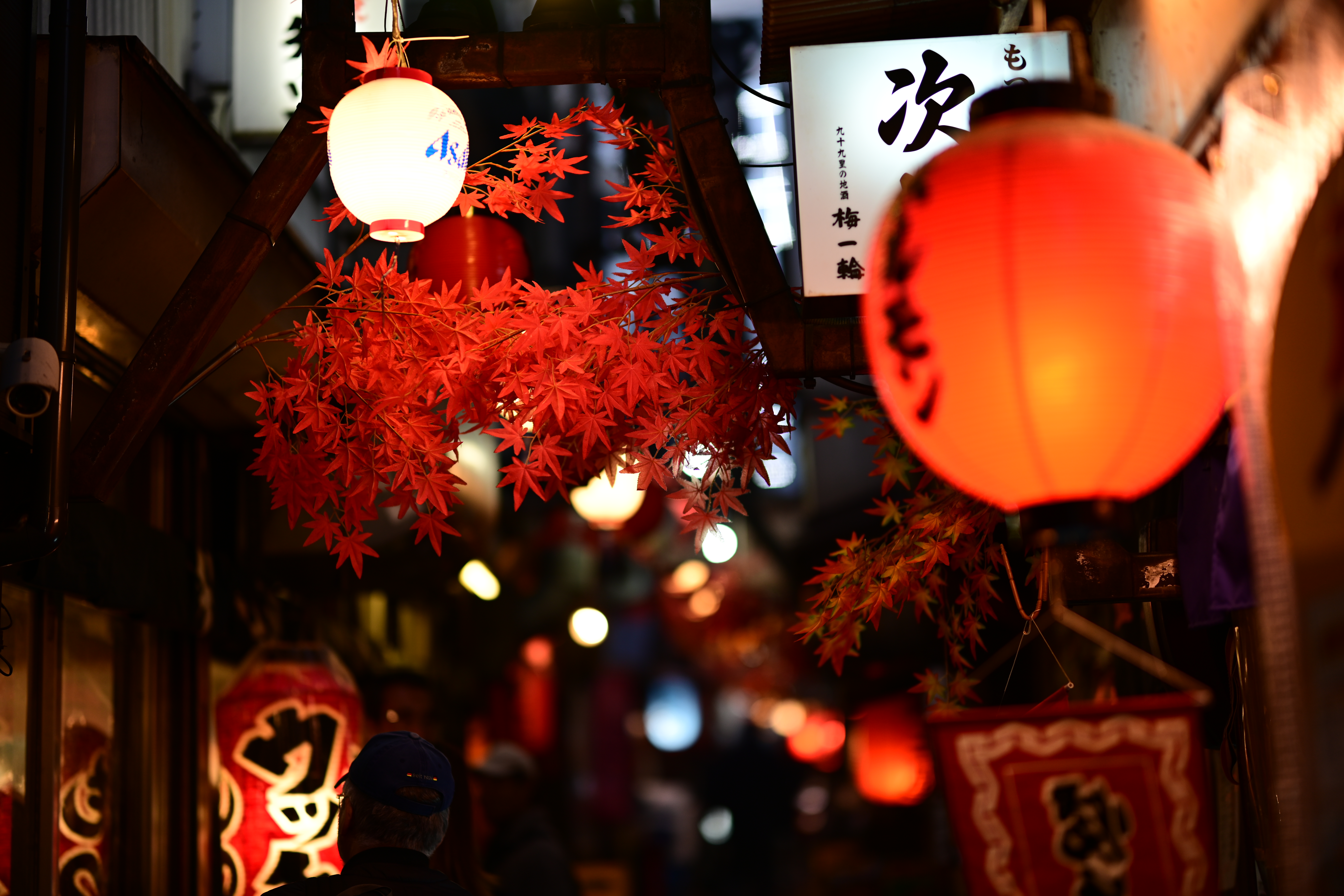 Nikon Z 7　NIKKOR Z 58mm f/0.95 S Noct　ISO 140　F0.95　1/250秒