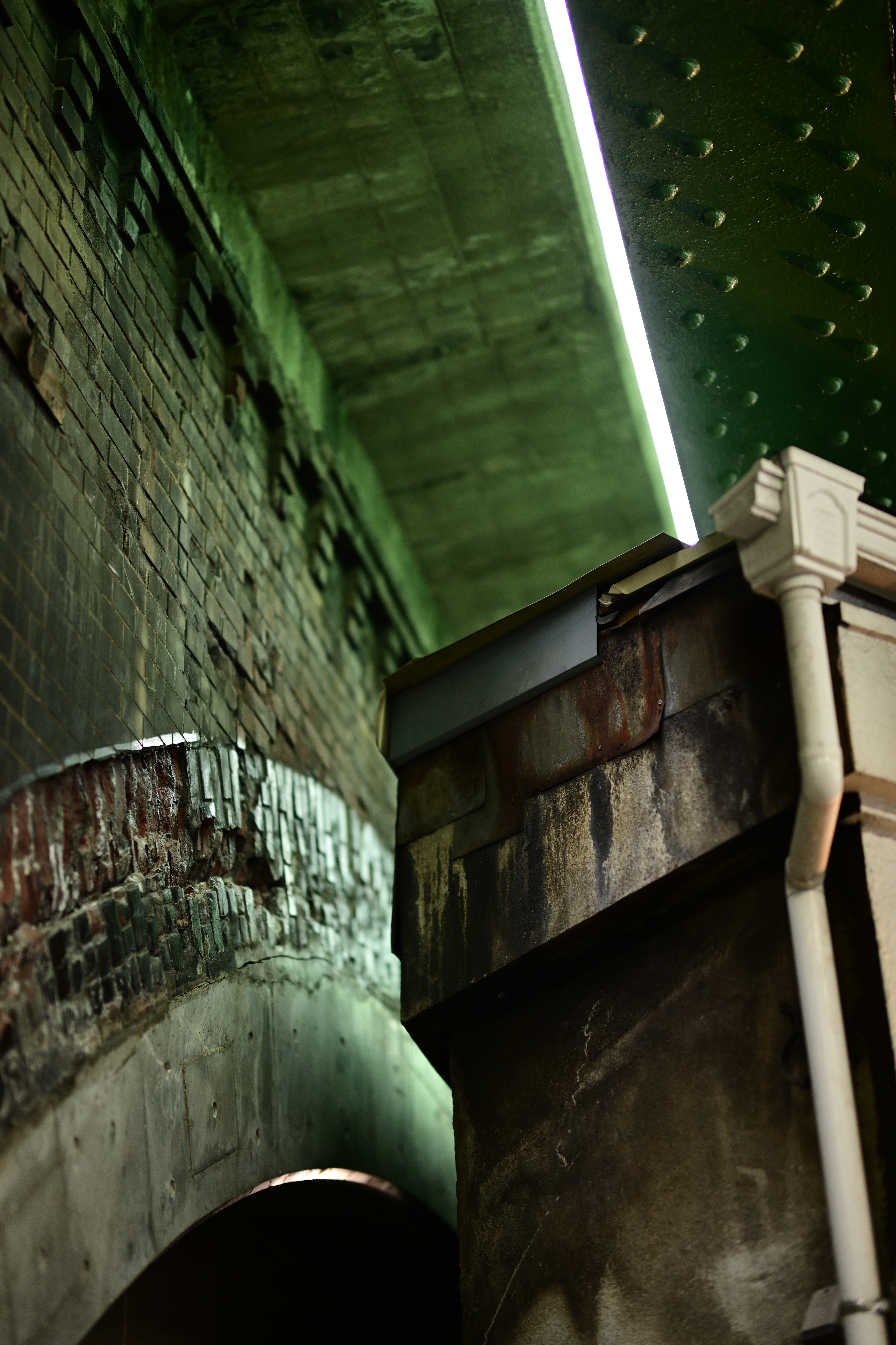 Nikon Z 7　NIKKOR Z 58mm f/0.95 S Noct　ISO 640　F0.95　1/250秒