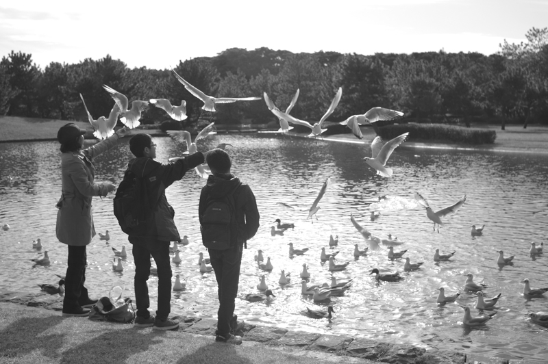 PENTAX KP / SUPER-TAKUMAR 28mm F3.5 / マニュアル露出（1/1,000秒・F3.5） / ISO 100 / カスタムイメージ：モノトーン