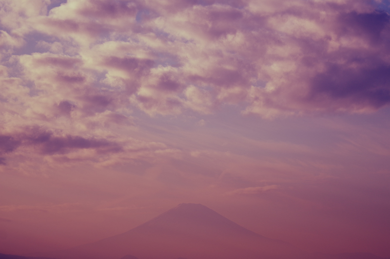 PENTAX KP / smc-PENTAX-M マクロ100mm F4 / マニュアル露出（1/3,200秒・F4） / ISO 100 / カスタムイメージ：クロスプロセスのシャッフル