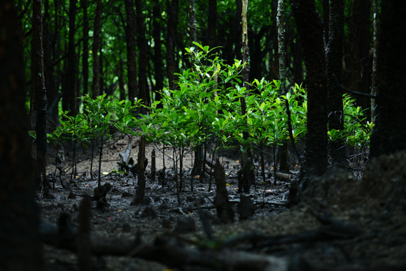 F2.8（100mm）<br>Panasonic LUMIX S1R / LUMIX S PRO 70-200mm F2.8 O.I.S. / 100mm / マニュアル露出（F2.8、1/80秒） / ISO 1250