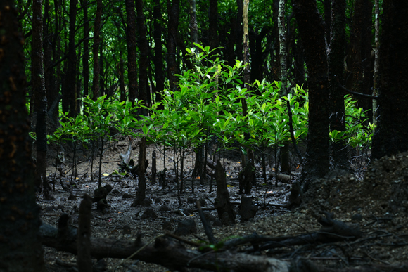 F8（100mm）<br>Panasonic LUMIX S1R / LUMIX S PRO 70-200mm F2.8 O.I.S. / 100mm / マニュアル露出（F8、1/10秒） / ISO 1250