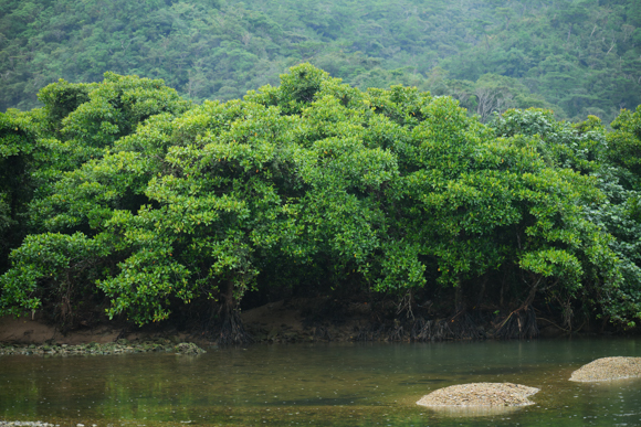 F2.8<br>Panasonic LUMIX S1R / LUMIX S PRO 70-200mm F2.8 O.I.S. / 70mm / マニュアル露出（F2.8、1/500秒） / ISO 400