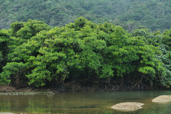 F5.6<br>Panasonic LUMIX S1R / LUMIX S PRO 70-200mm F2.8 O.I.S. / 70mm / マニュアル露出（F5.6、1/200秒） / ISO 400