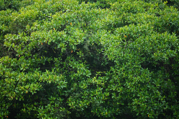 F2.8<br>Panasonic LUMIX S1R / LUMIX S PRO 70-200mm F2.8 O.I.S. / 200mm / マニュアル露出（F2.8、1/500秒） / ISO 400