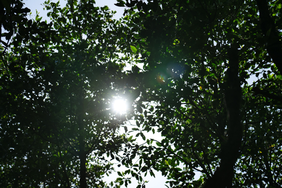 Panasonic LUMIX S1R / LUMIX S PRO 70-200mm F2.8 O.I.S. / 70mm / マニュアル露出（F3.5、1/4,000秒） / ISO 400