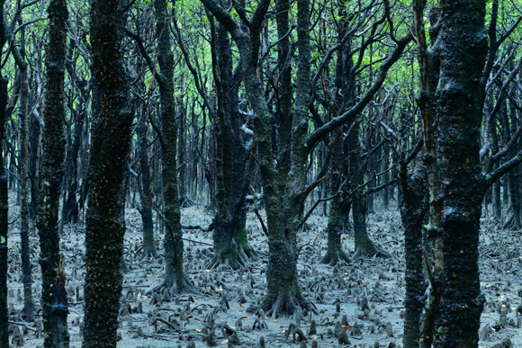 Panasonic LUMIX S1R / LUMIX S PRO 70-200mm F2.8 O.I.S. / 70mm / マニュアル露出（F14、15秒） / ISO 320 / 中型三脚使用