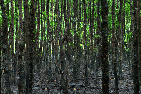 Panasonic LUMIX S1R / LUMIX S PRO 70-200mm F2.8 O.I.S. / 100mm / マニュアル露出（F7.1、1/6秒） / ISO 1250 / 中型三脚使用