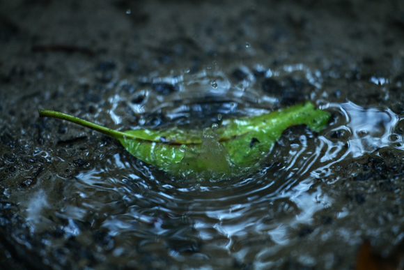 Panasonic LUMIX S1R / LUMIX S PRO 70-200mm F2.8 O.I.S. / 165mm / マニュアル露出（F2.8、1/400秒） / ISO 3200 / 手持ち