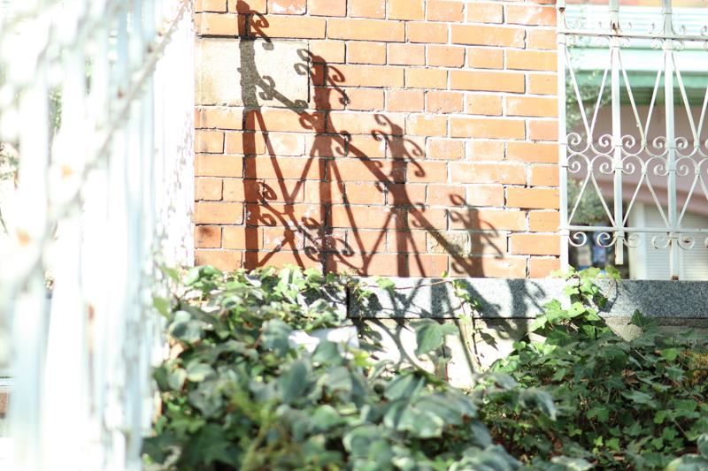 EOS Kiss M / 30mm F1.4 DC DN / 絞り優先AE（1/1,250秒・F1.4・+2.0EV） / ISO 100