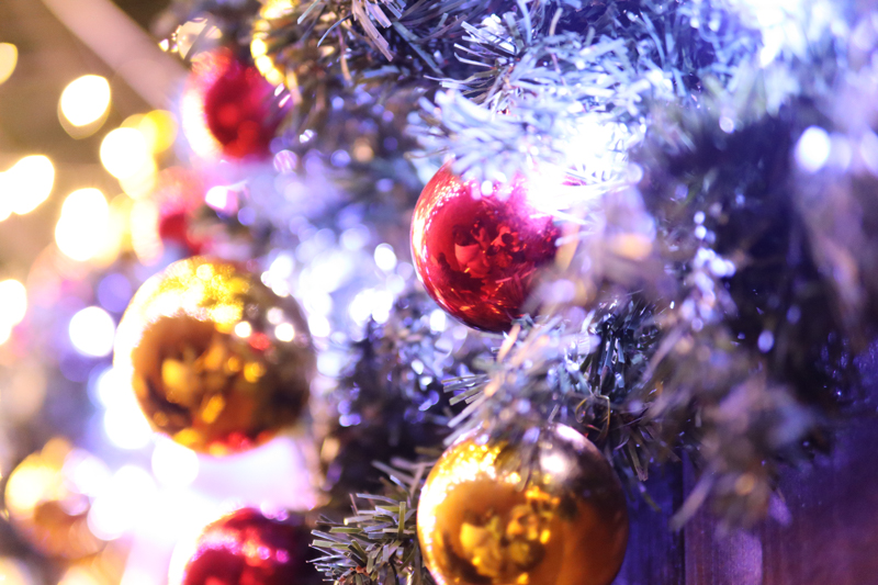 EOS Kiss M / 30mm F1.4 DC DN / 絞り優先AE（1/40秒・F1.4・+2.0EV） / ISO 2000