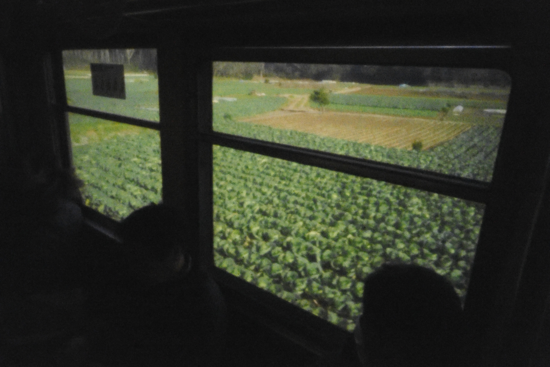 ライカSL2　ピンホール（1/200秒）　ISO 50000　WB:太陽光