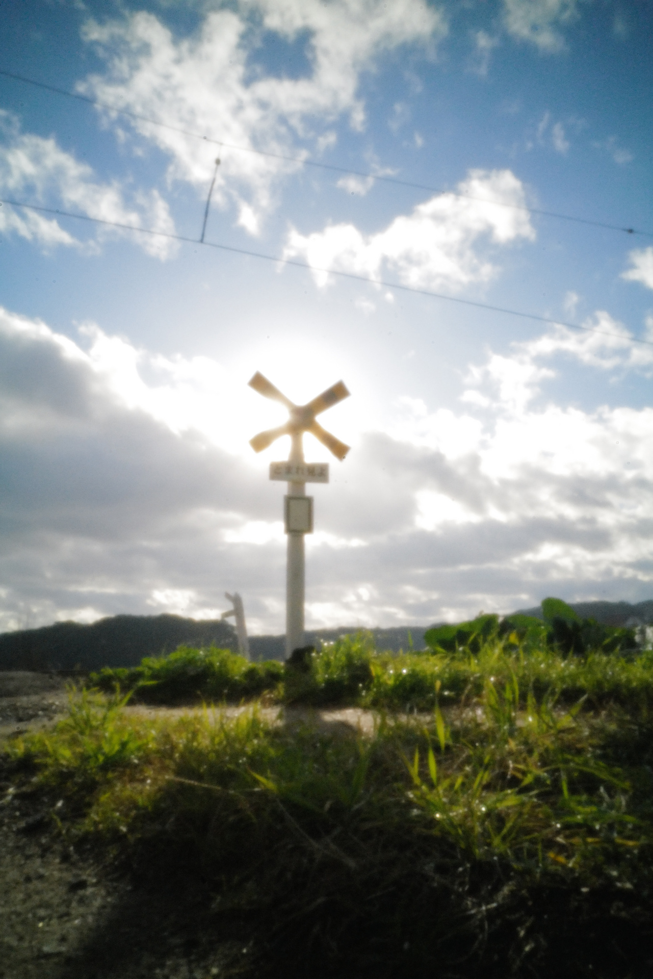 ライカSL2　ピンホール（1/125秒）　ISO12500　WB:日陰