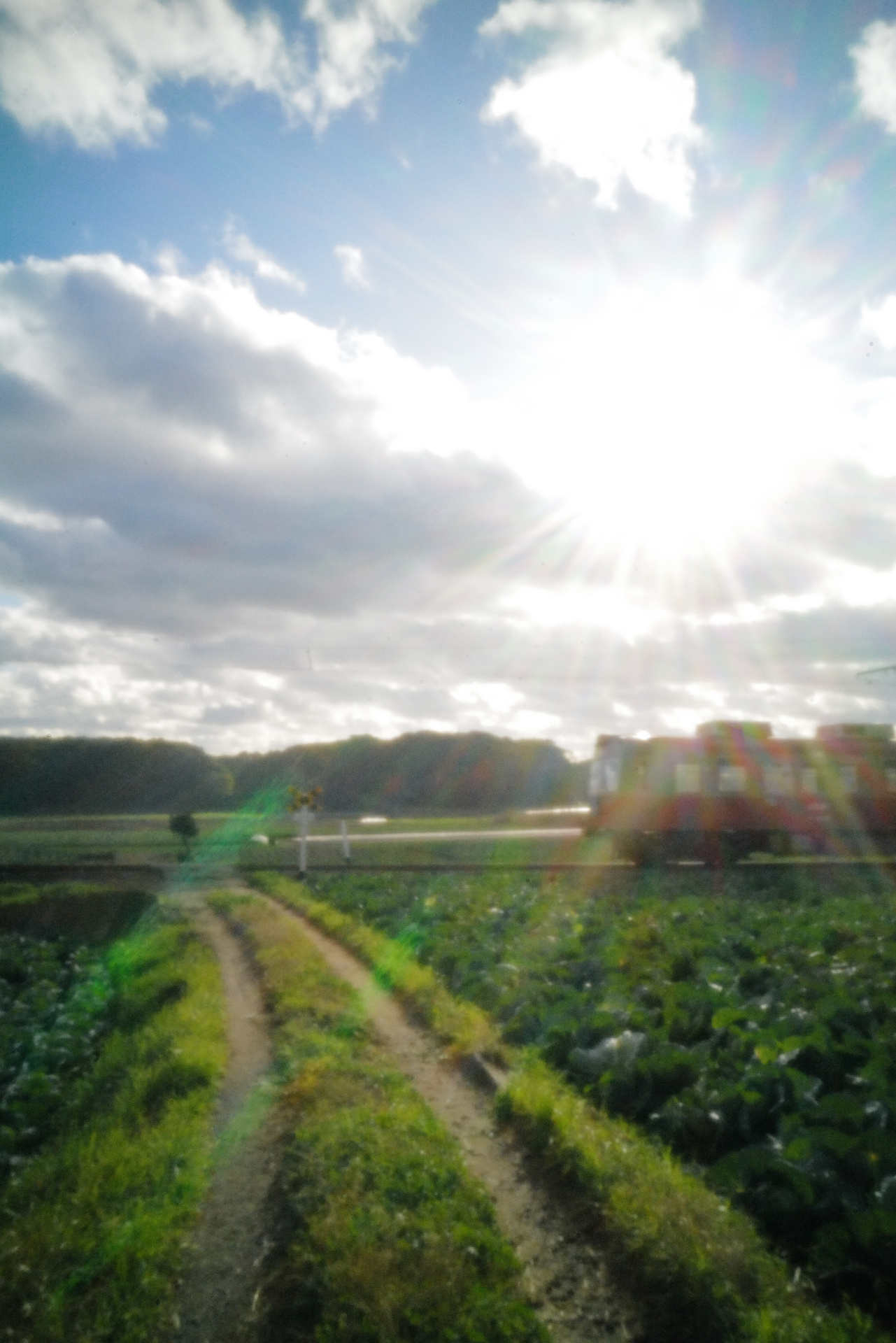 ライカSL2　ピンホール（1/80秒）　ISO12500　WB:日陰