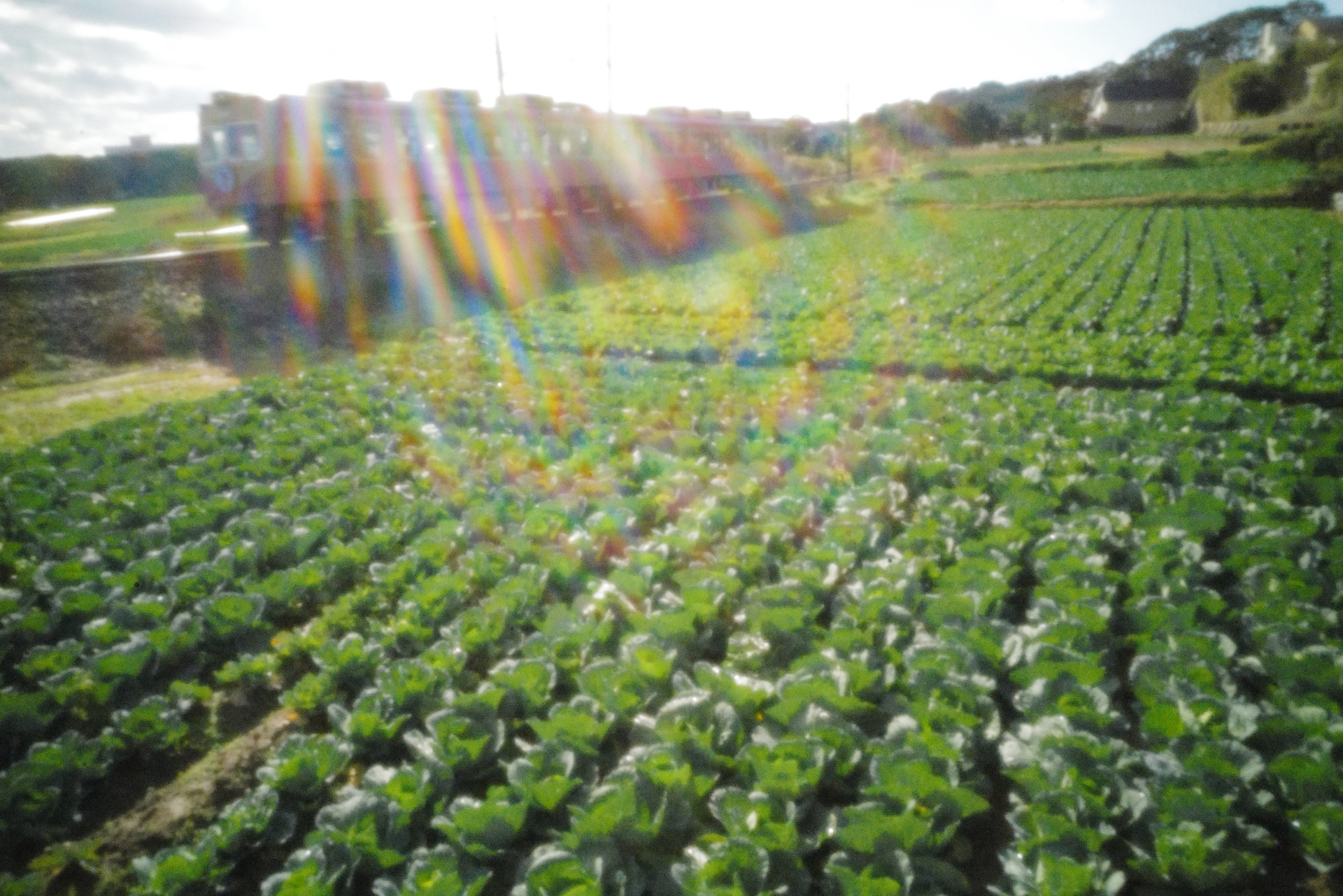 ライカSL2　ピンホール（1/80秒）　ISO25000　WB:日陰