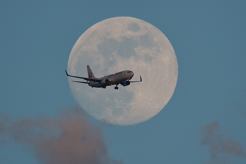 フルード三脚にレンズを置き、2倍のテレコンバーターを装着して月齢13弱の月を狙った。翌日の満月よりも1時間早い月の出で機体にはまだ太陽の残照が当たっている。月のディテールを見せたくなるが、機体がボケるのも恰好悪い。これまではマニュアルフォーカスで懸命に機体にフォーカシングしていたが、この残照の助けもあってかAF追随が見られたのだった<br>SONY α7R III / FE 200-600mm F5.6-6.3 G OSS+SEL20TC / 1,200mm / マニュアル露出(F13・1/640秒) / ISO 800 / APS-Cクロップ・1,800mm相当