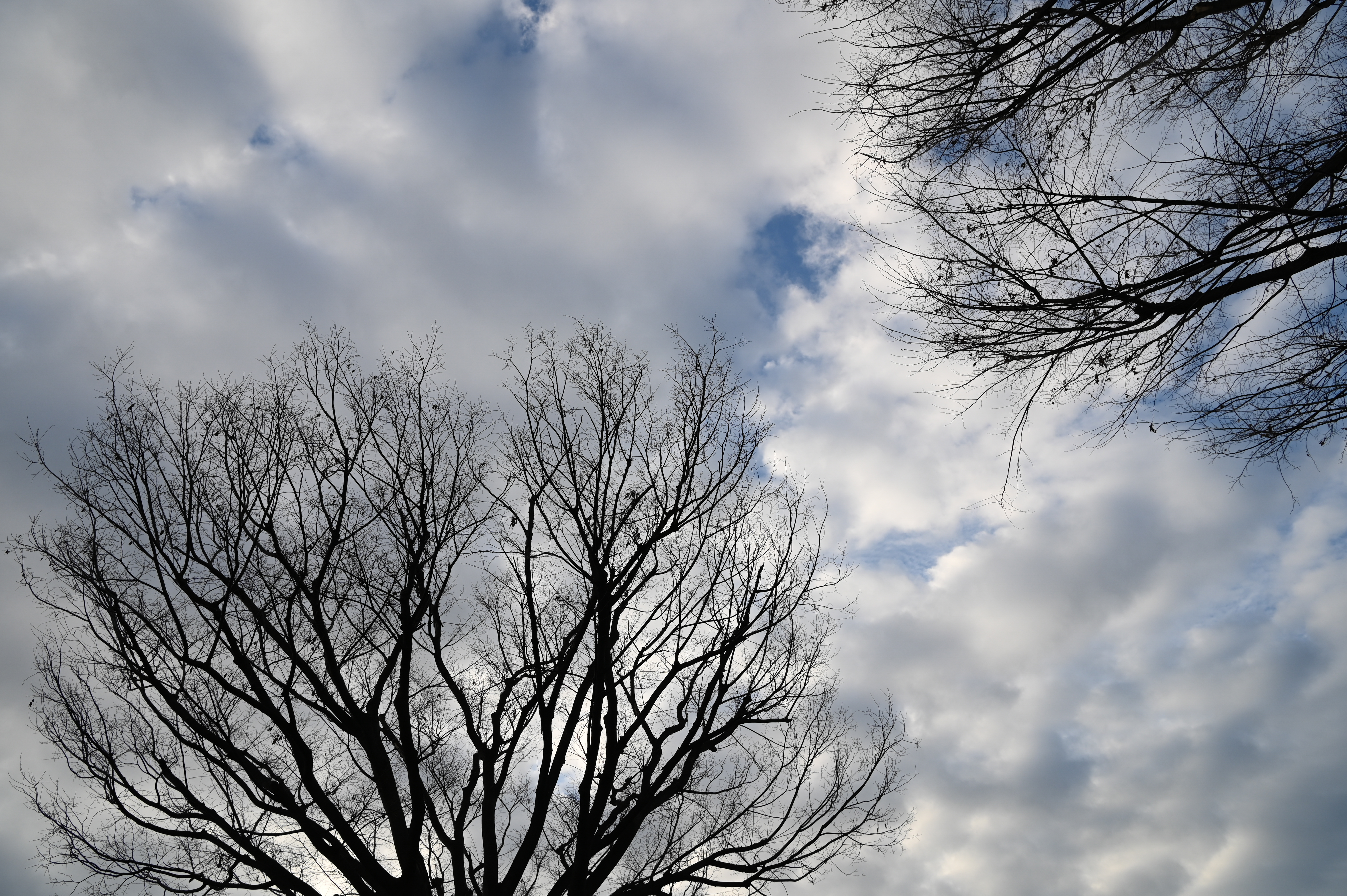 ニコンD780 / AF-S NIKKOR 24-70mm f/2.8E ED VR / 24mm / 絞り優先AE（F8.0・1/500秒・+0.3EV） / ISO 200