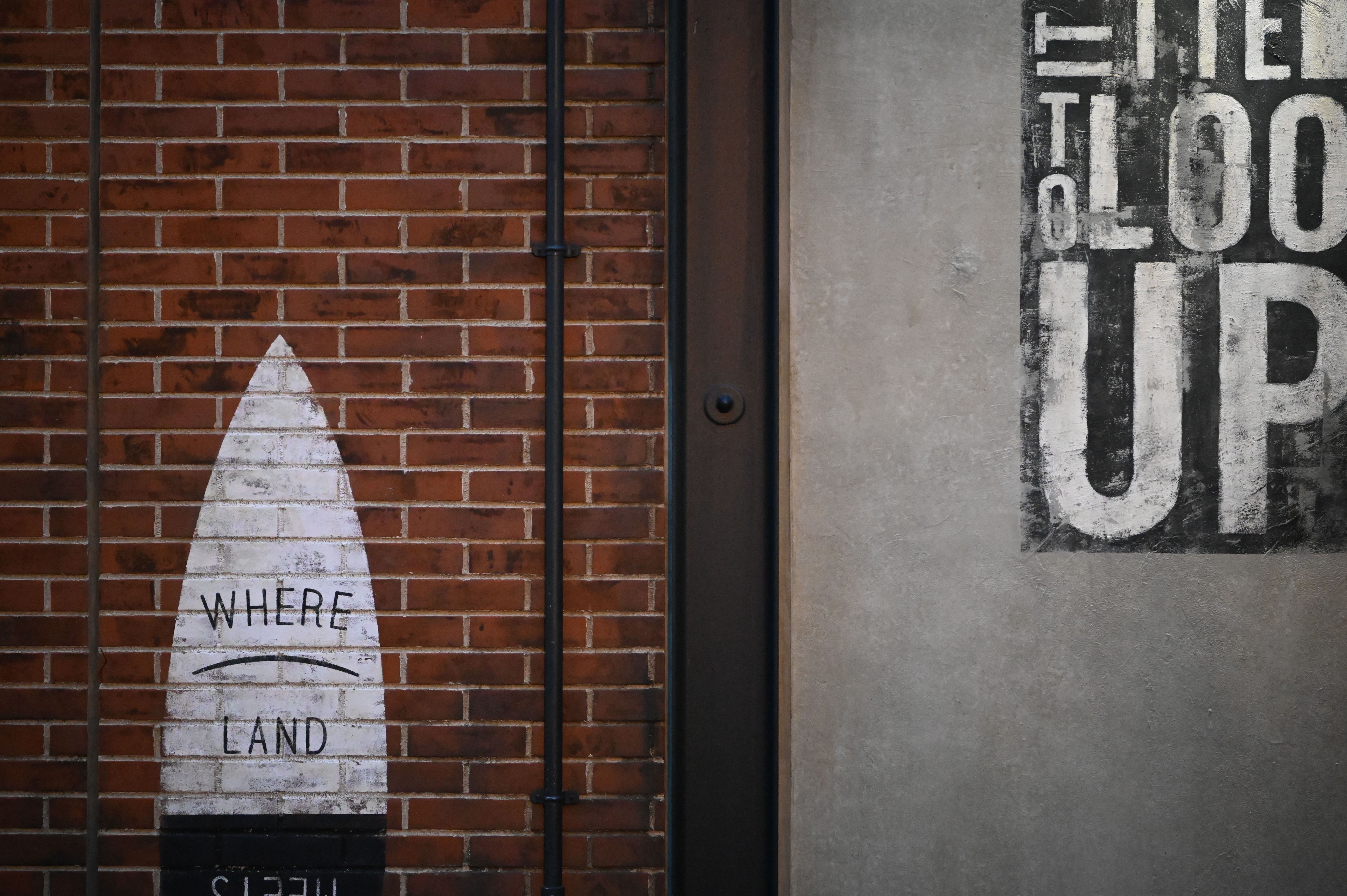 ニコンD780 / AF-S NIKKOR 24-70mm f/2.8E ED VR / 70mm / シャッター優先AE（F2.8・1/250秒・+0.3EV） / ISO 12800