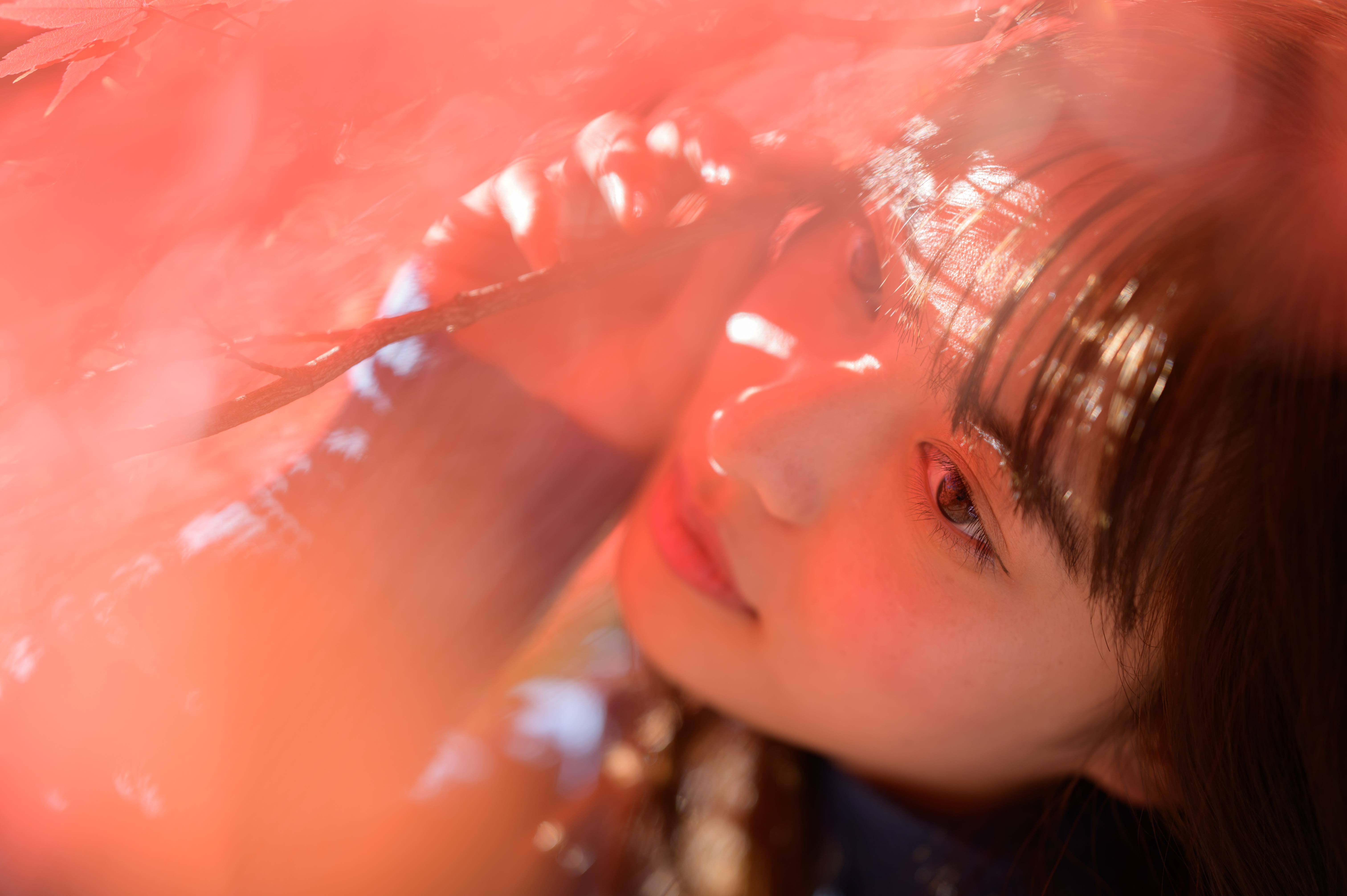 Nikon Z 6 / NIKKOR Z 85mm f/1.8 S / マニュアル露出（1/800秒・F1.8） / ISO 100