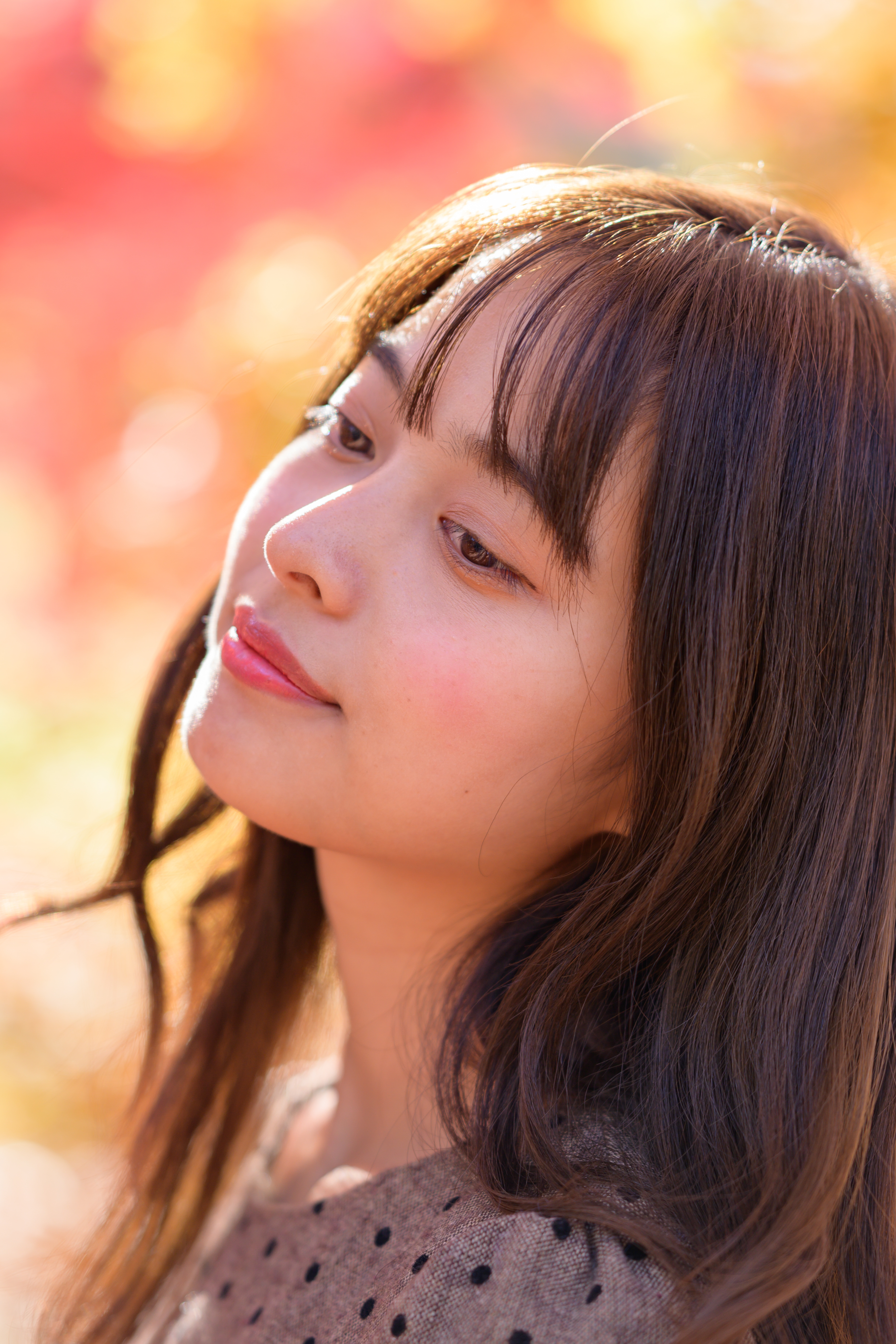 Nikon Z 50 / NIKKOR Z 85mm f/1.8 S / 127mm相当 / マニュアル露出（1/250秒・F1.8） / ISO 100