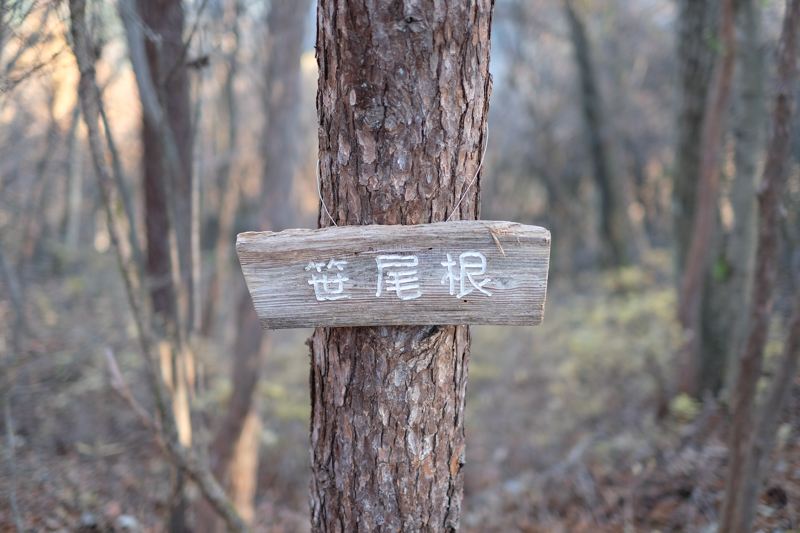 かわいい標識を見つけた。<br><span class="fnt-85">X-Pro2 / XF35mmF1.4 R / 35mm（53mm相当） / 絞り優先AE（1/210秒・F1.4・±0.0EV） / ISO 200</span>