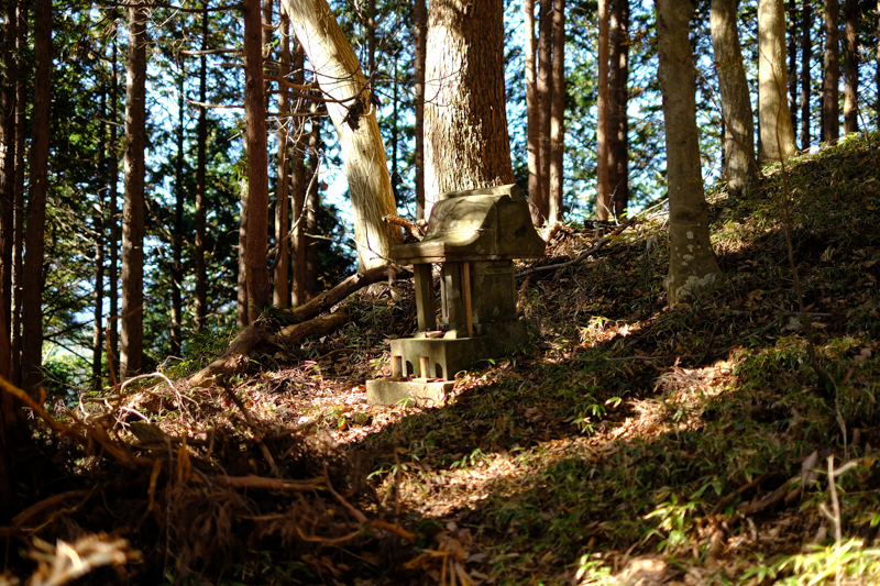 浅間峠にあった小さな祠。<br><span class="fnt-85">X-Pro2 / XF35mmF1.4 R / 35mm（53mm相当） / 絞り優先AE（1/550秒・F1.4・±0.0EV） / ISO 200</span>