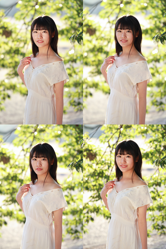 F1.2（左上）、F1.4（右上）、F2（左下）、F2.8（右下）