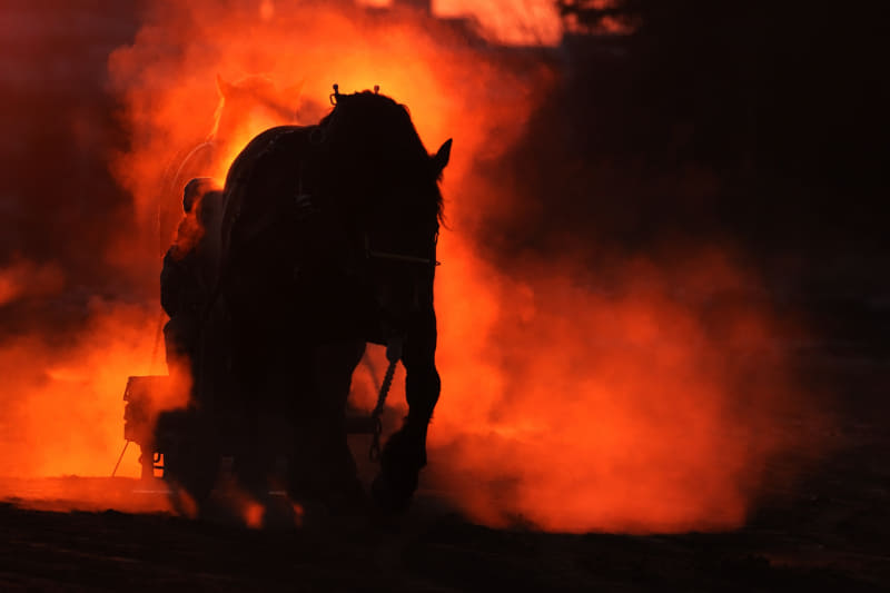 山岸 伸「輓馬（BANKEI KEIBA）」