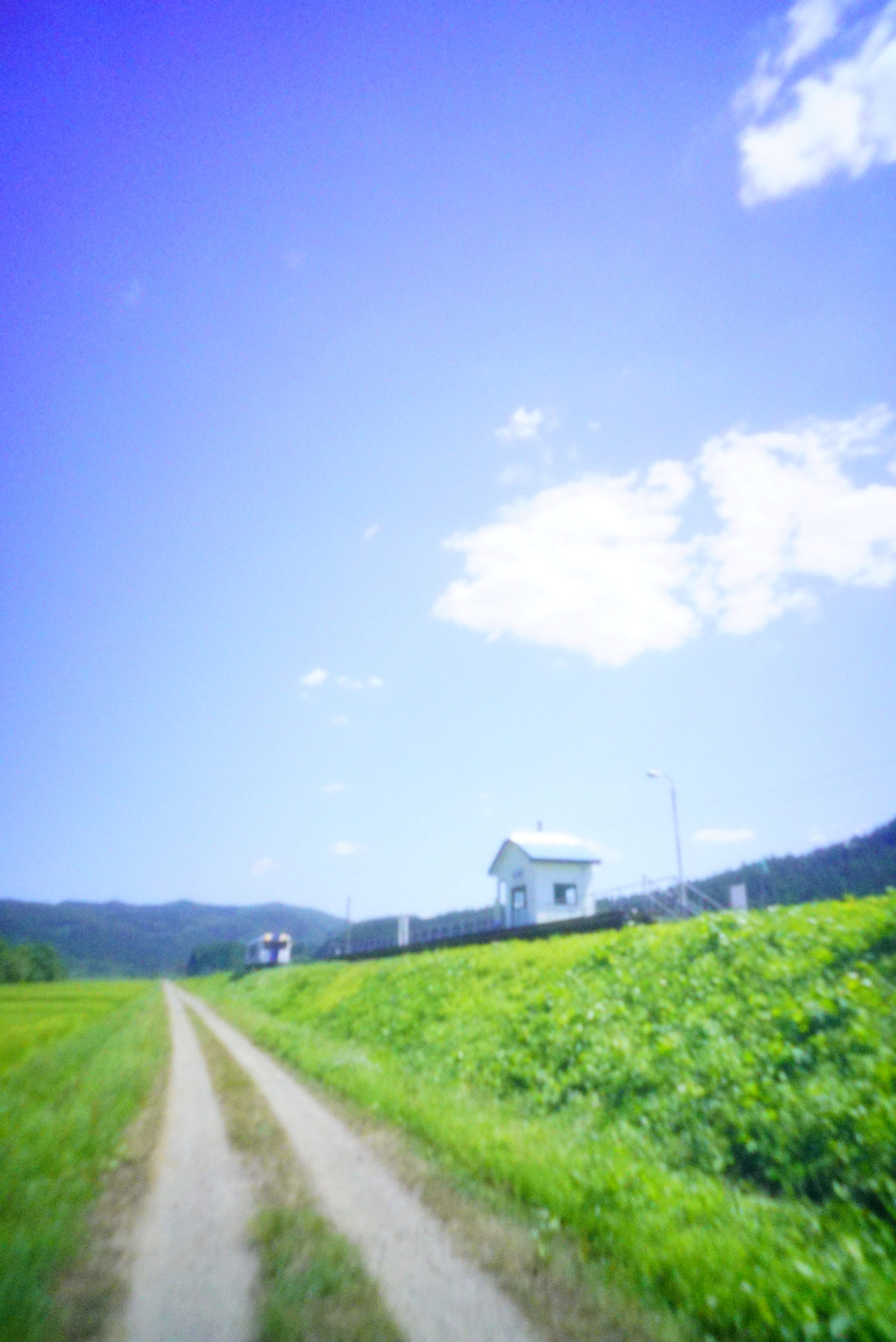 「あおぞらの道」<br>ソニーα7S II　マニュアル露出（1/40秒）　ISO 12800　WB:太陽光　スタンダード