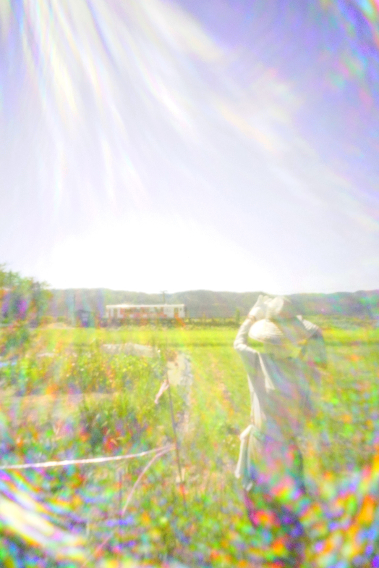 「光につつまれて」<br>ソニーα7S II　マニュアル露出（1/60秒）　ISO 32000　WB:日陰　スタンダード