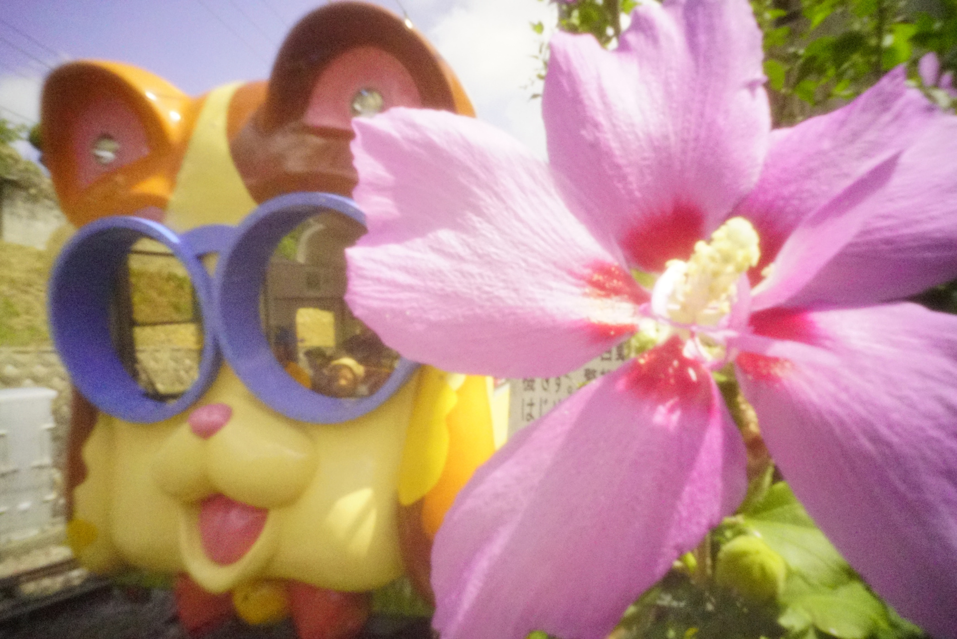 「サイケデリック関西Part.1」<br>ソニーα7S II　シャッター優先オート（1/80秒）　ISO 32000　WB:日陰　スタンダード