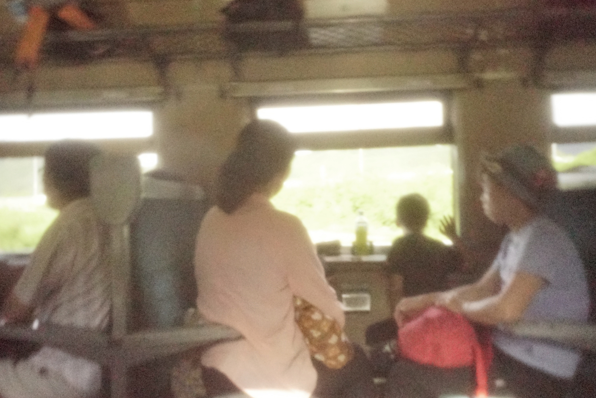 「夏の汽車たび」<br>ソニーα7S II　マニュアル露出（1/20秒）　ISO 64000　WB:日陰　スタンダード