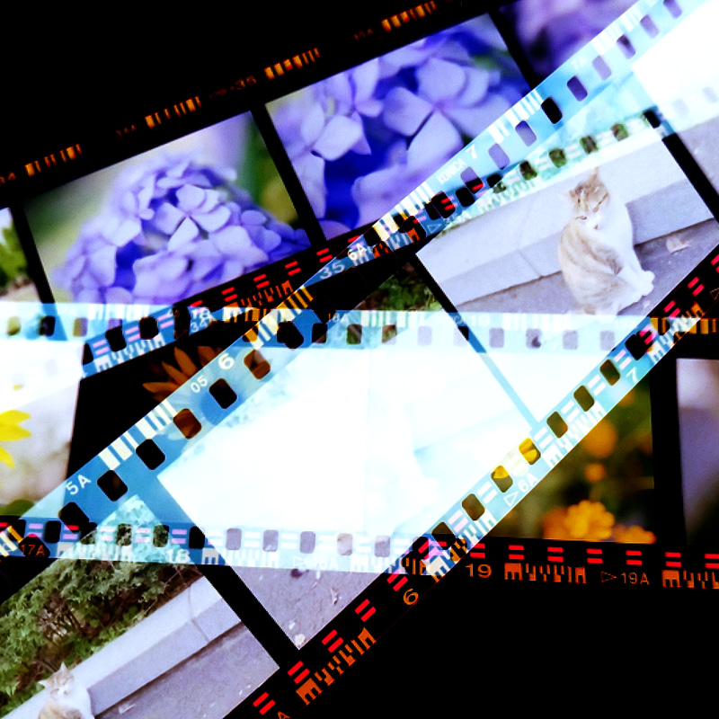 SNSを意識して正方形にトリミングしてみた