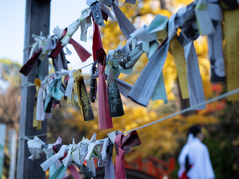 下鴨神社の境内には水御籤（みずみくじ）をはじめ、さまざまなおみくじがある。前ボケと後ろボケとの対比にメリハリがあり、ピントの合焦部が立体的に浮かび上がる（撮影：中条望）。<br><span class="fnt-85">OLYMPUS OM-D E-M1 Mark II / M.ZUIKO DIGITAL ED 25mm F1.2 PRO / 25mm（50mm相当） / 絞り優先AE（F2、1/2,500秒、±0EV） / ISO 640 / WB：オート</span>