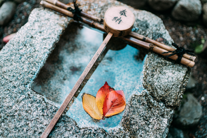 α7 III / Distagon T* FE 35mm F1.4 ZA / マニュアル露出（1/800秒・F1.4） / ISO 250