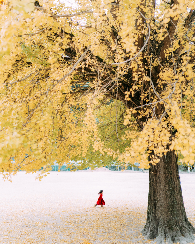 α7 III / Distagon T* FE 35mm F1.4 ZA / マニュアル露出（1/2,500秒・F1.4） / ISO 640