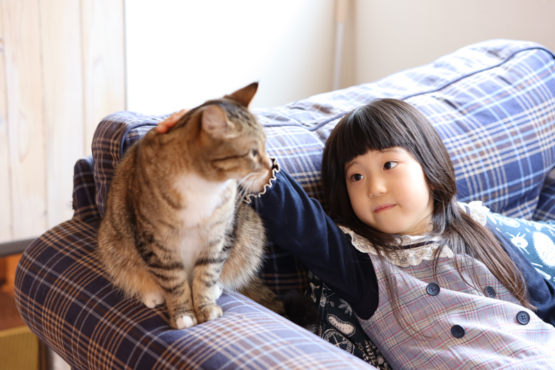 EOS Kiss M / 56mm F1.4 DC DN / 絞り優先AE（1/50秒・F2.2・+1.3EV） / ISO 320