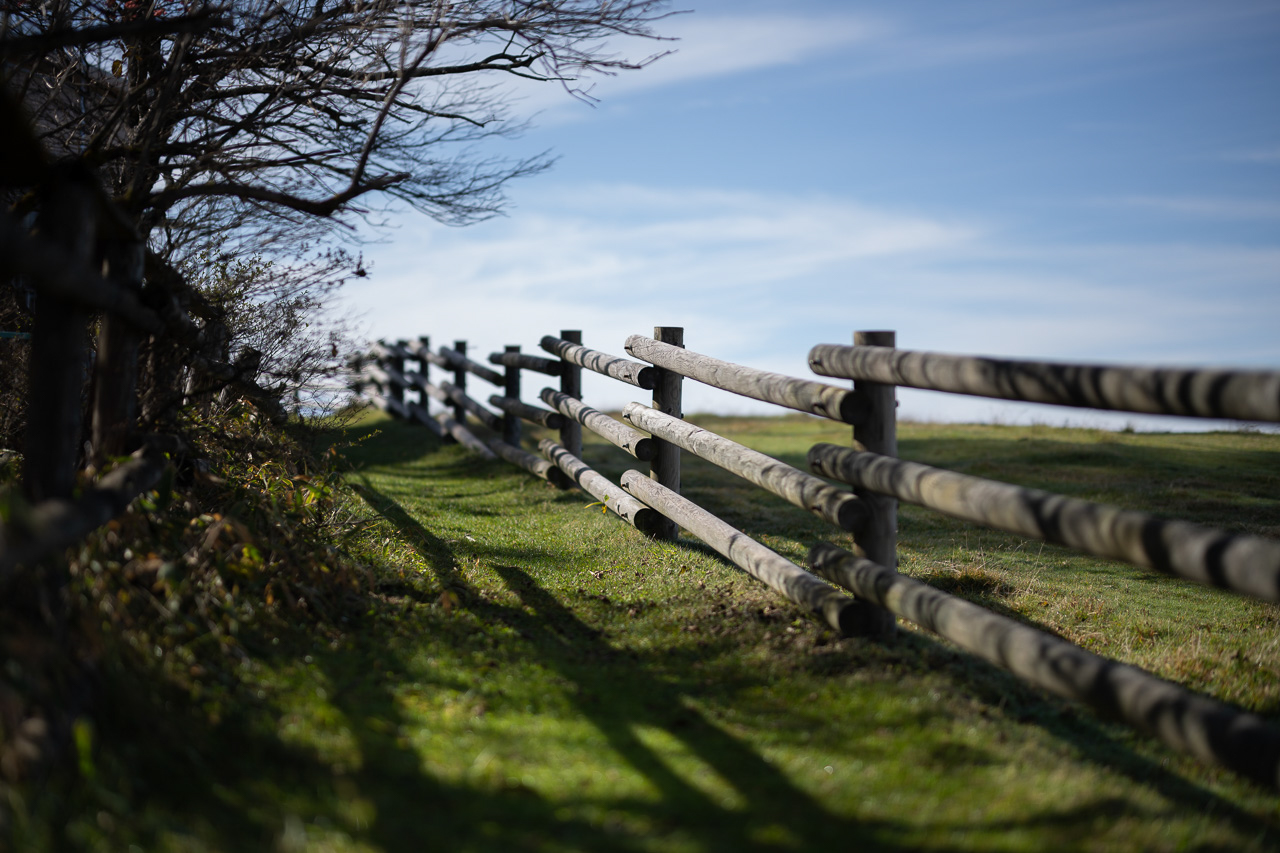 ピントが合った位置に人物など主要被写体がいるわけではない。しかし、前後をぼかしピント面を強調することで自分が存在した空間を表し、大きくぼかして必要十分な量の情報となった周りの光や色から時間を表す、一人称の写真とすることができる。<br>Nikon Z 7 / NIKKOR Z 58mm f/0.95 S Noct / 絞り優先AE（F0.95、1/6,400秒、±0EV） / ISO 32