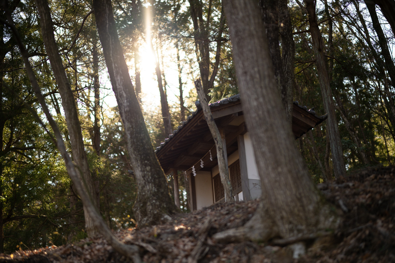 森の中の小さな社に対して、太陽を画面に入れることで明るい印象の画面構成とした。シャドウがクリアで解像感があるからこそ、明るいが静かな佇まいを表現できたのだ。<br>Nikon Z 7 / NIKKOR Z 58mm f/0.95 S Noct / 絞り優先AE（F0.95、1/6,400秒、±0EV） / ISO 250