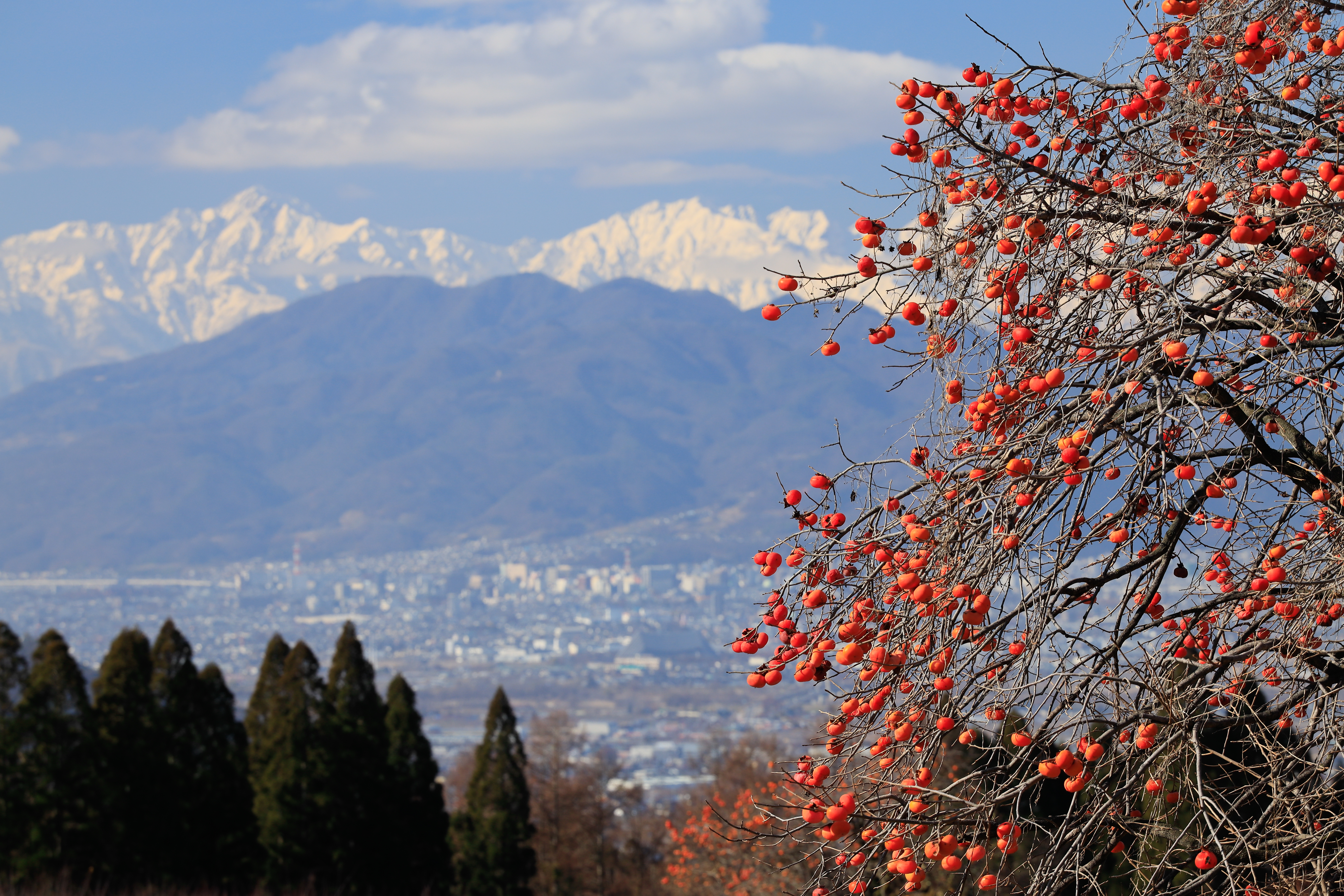 Canon EOS R / RF70-200mm F2.8 L IS USM / 200mm / 絞り優先AE（F8・1/160秒・±0EV） / ISO 200