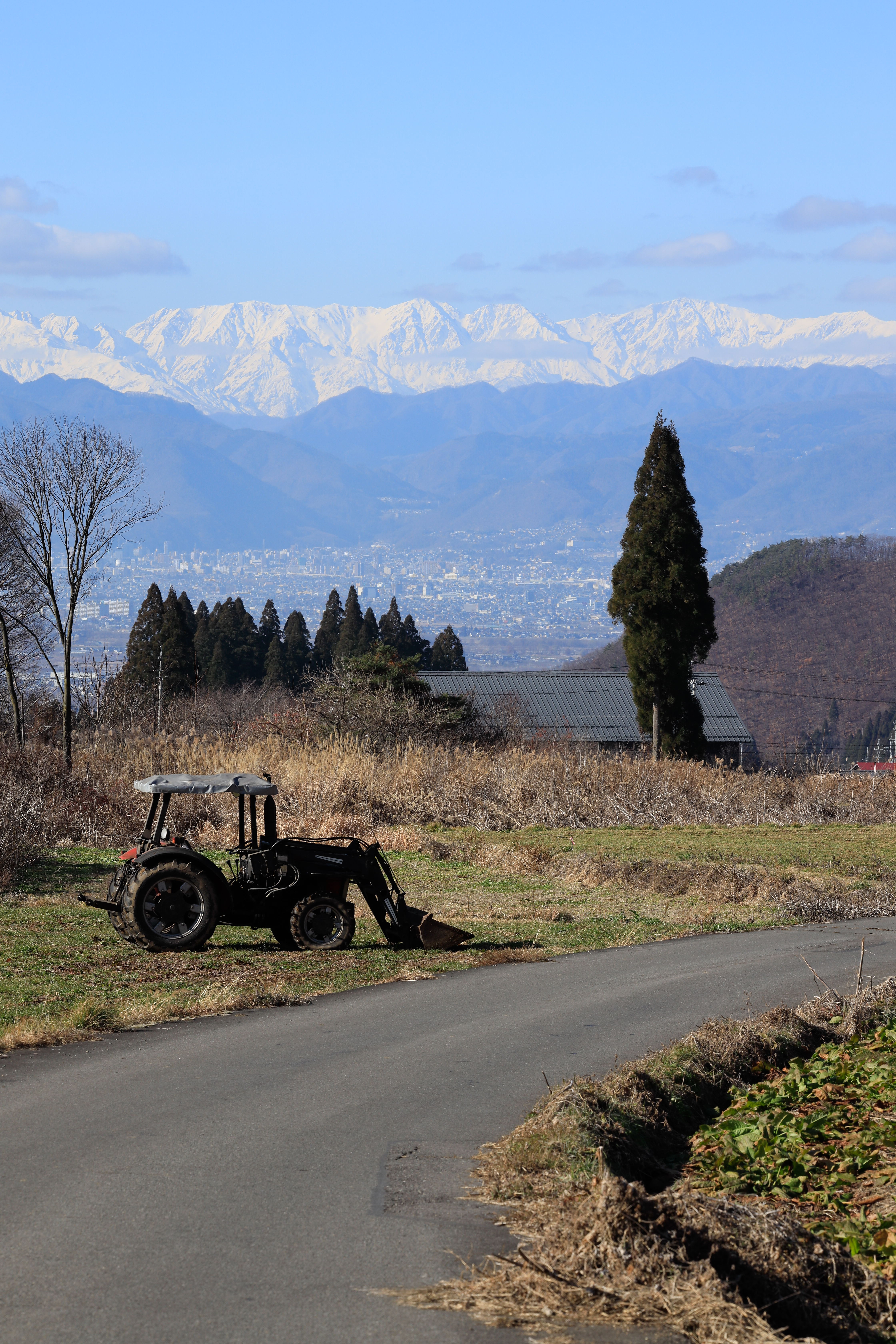 Canon EOS R / RF70-200mm F2.8 L IS USM / 128mm / 絞り優先AE（F11・1/320秒・-0.7EV） / ISO 200