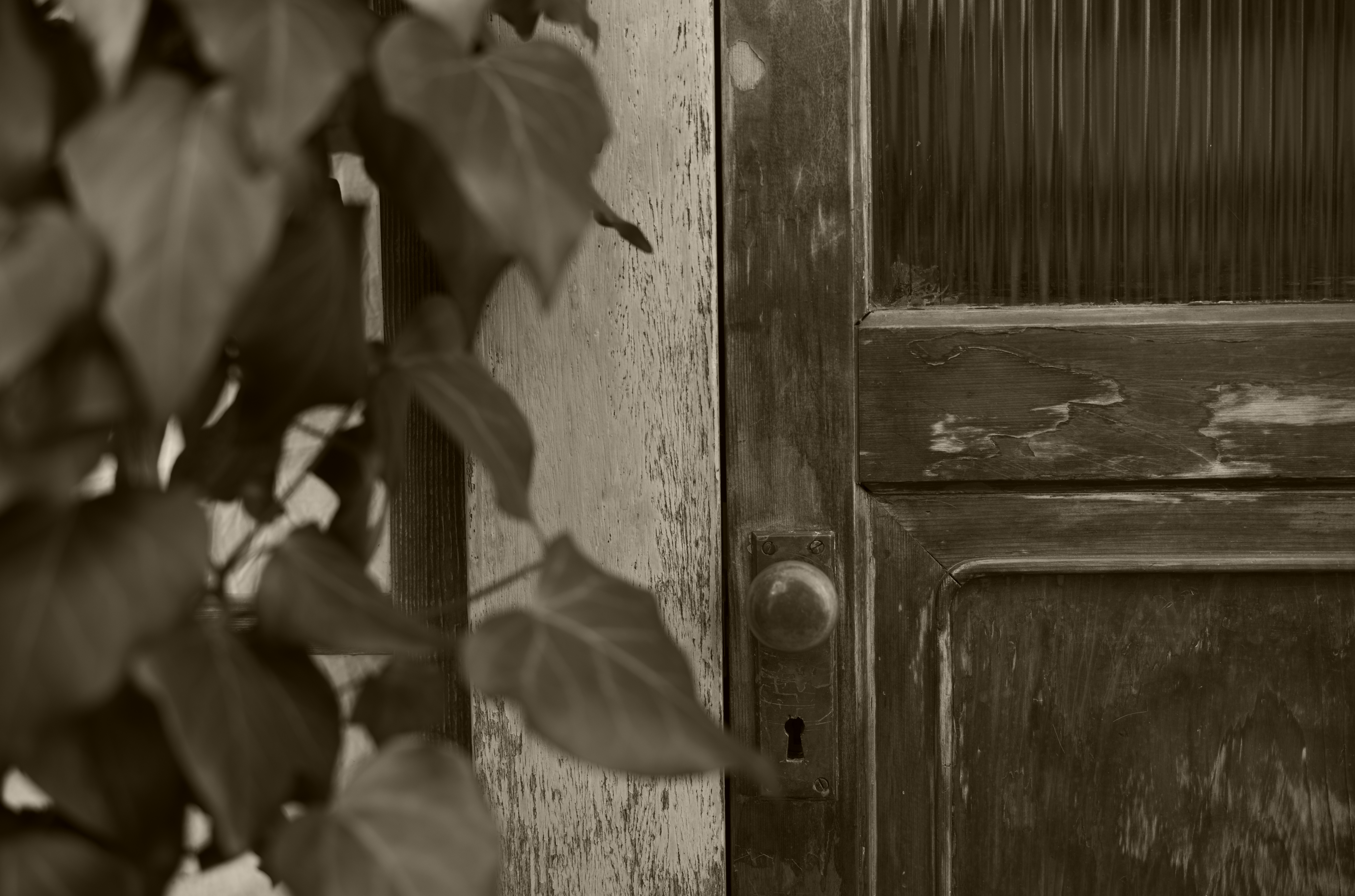 古い木の扉を見つけ、セピア（強）に設定。レトロな雰囲気が表現できた。<br>ライカM10モノクローム　アポ・ズミクロンM F2.0/50mm ASPH.　ISO 400　F2.8　1/360秒