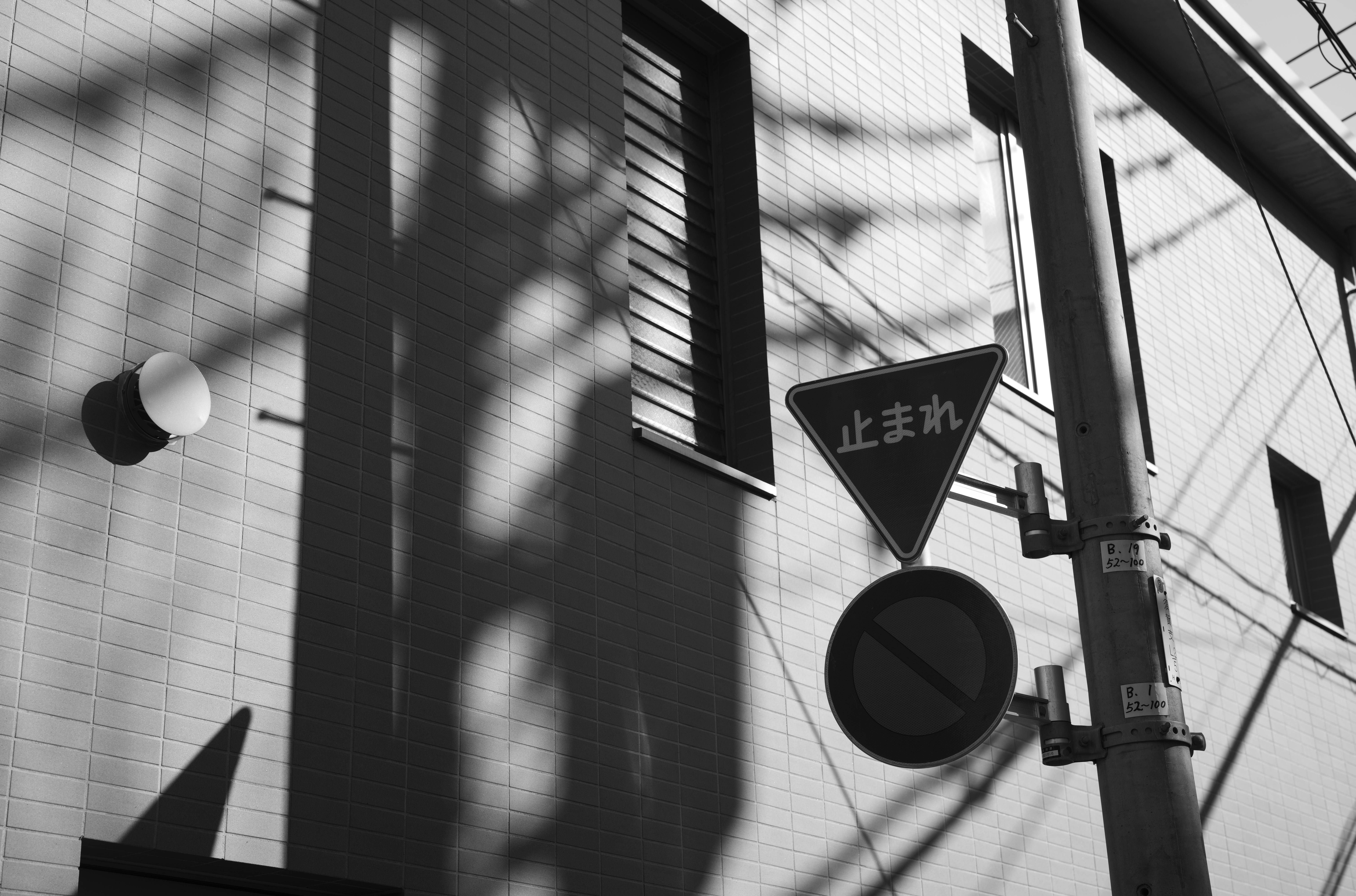 強い光だがハイライトは飛び過ぎず、シャドーも潰れていない。それでいて適度なコントラスト。ライカM10モノクロームは特別な設定をせずに本格的なモノクロ写真が楽しめる。<br>ライカM10モノクローム　アポ・ズミクロンM F2.0/50mm ASPH.　ISO 160　F5.6　1/750秒