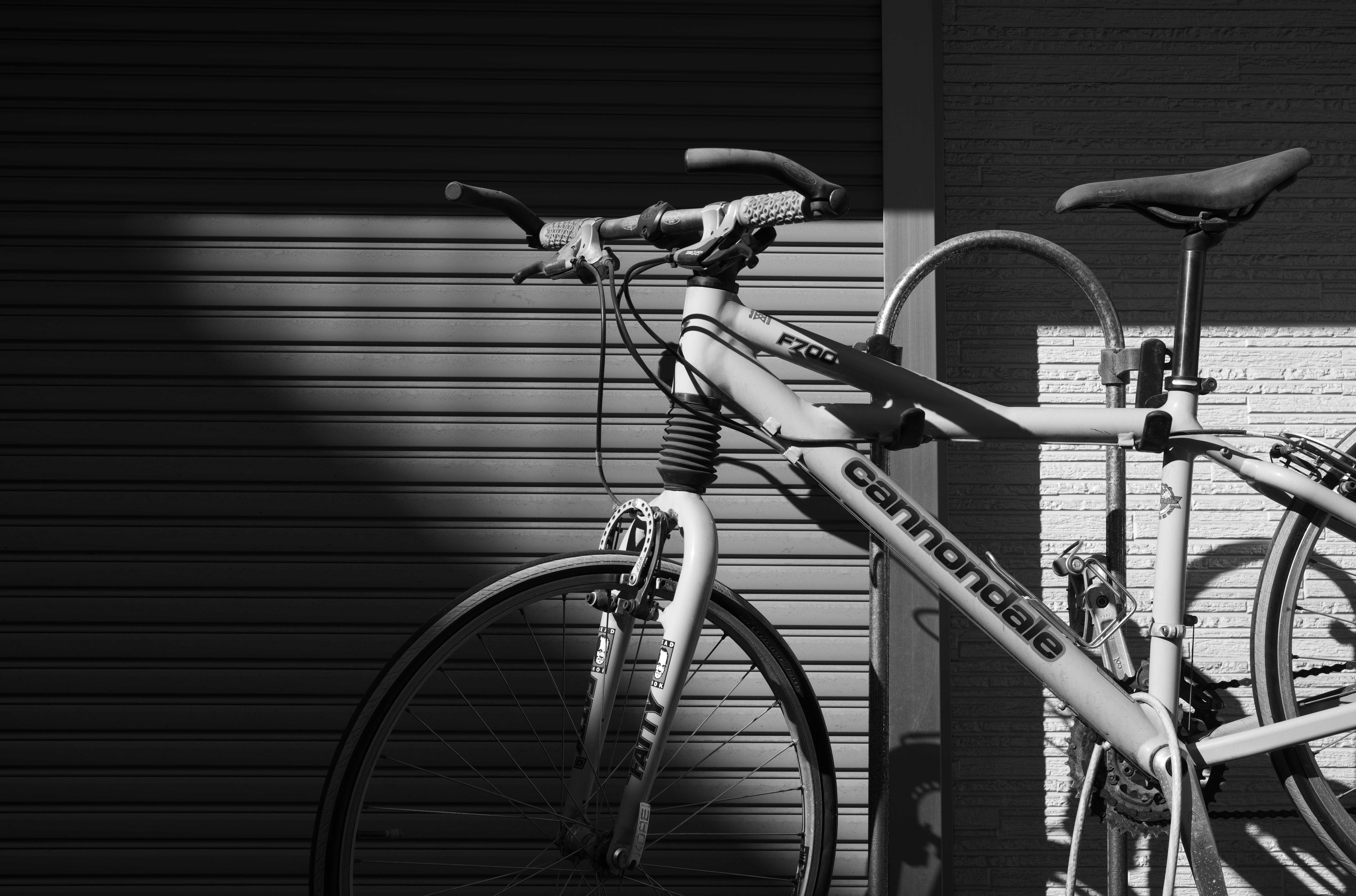 初代ライカMモノクロームで自転車を撮ったとき、質感再現の高さに驚いたことがあった。ライカM10モノクロームも、やはりフレームなど金属の質感再現が素晴らしい。リアリティのある描写だ。<br>ライカM10モノクローム　アポ・ズミクロンM F2.0/50mm ASPH.　ISO 160　F8　1/360秒