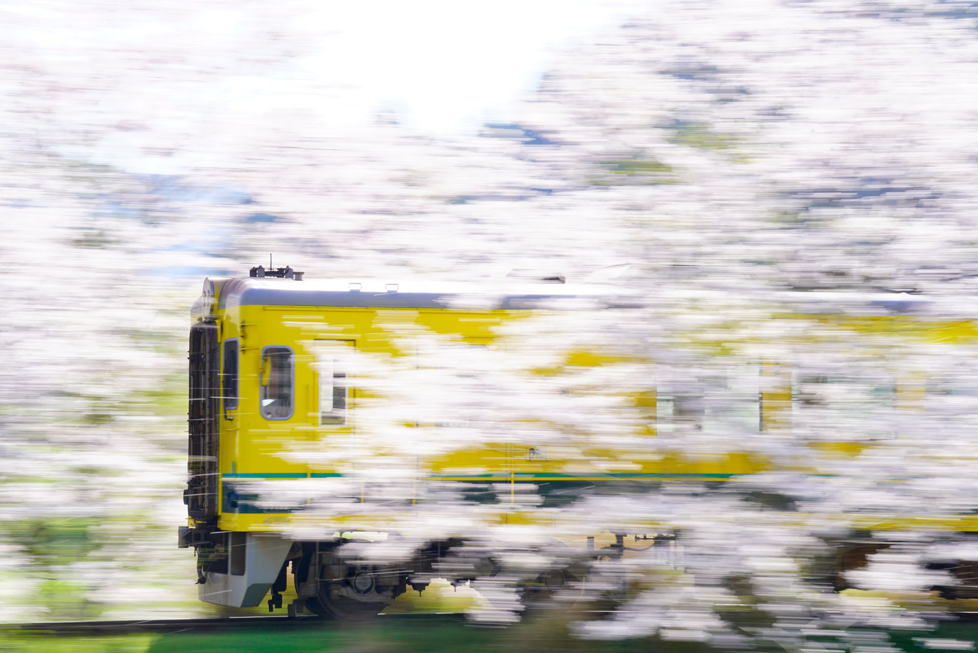 ソニーα7R II　FE 70-300mm F4.5-5.6 G OSS（116mm）　マニュアル露出（F20、1/25秒）　ISO200　WB:太陽光　風景