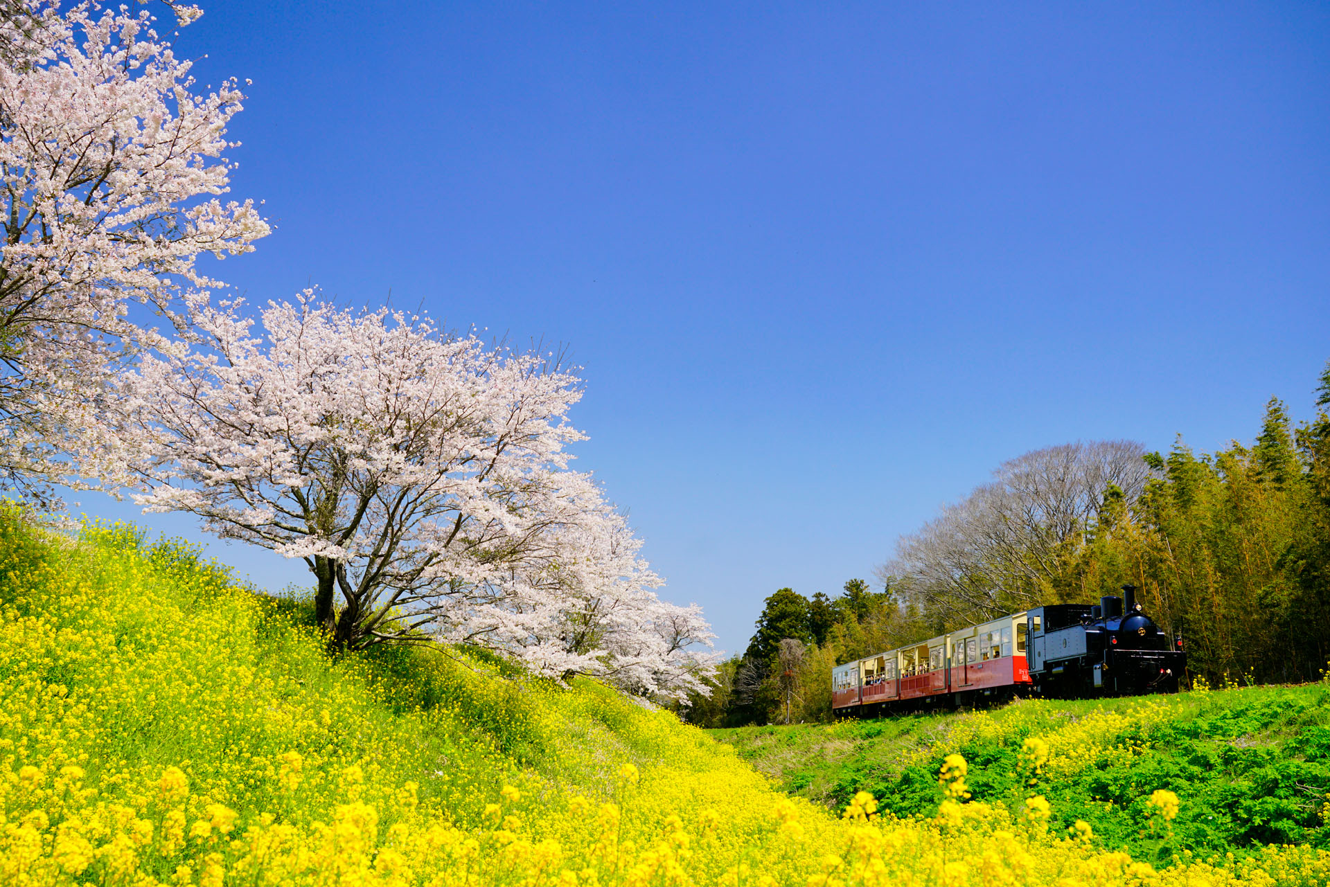 ソニーα7R II　FE 24-70mm F4 ZA OSS（35mm）　マニュアル露出（F6.3、1/400秒）　ISO200　WB:太陽光　風景