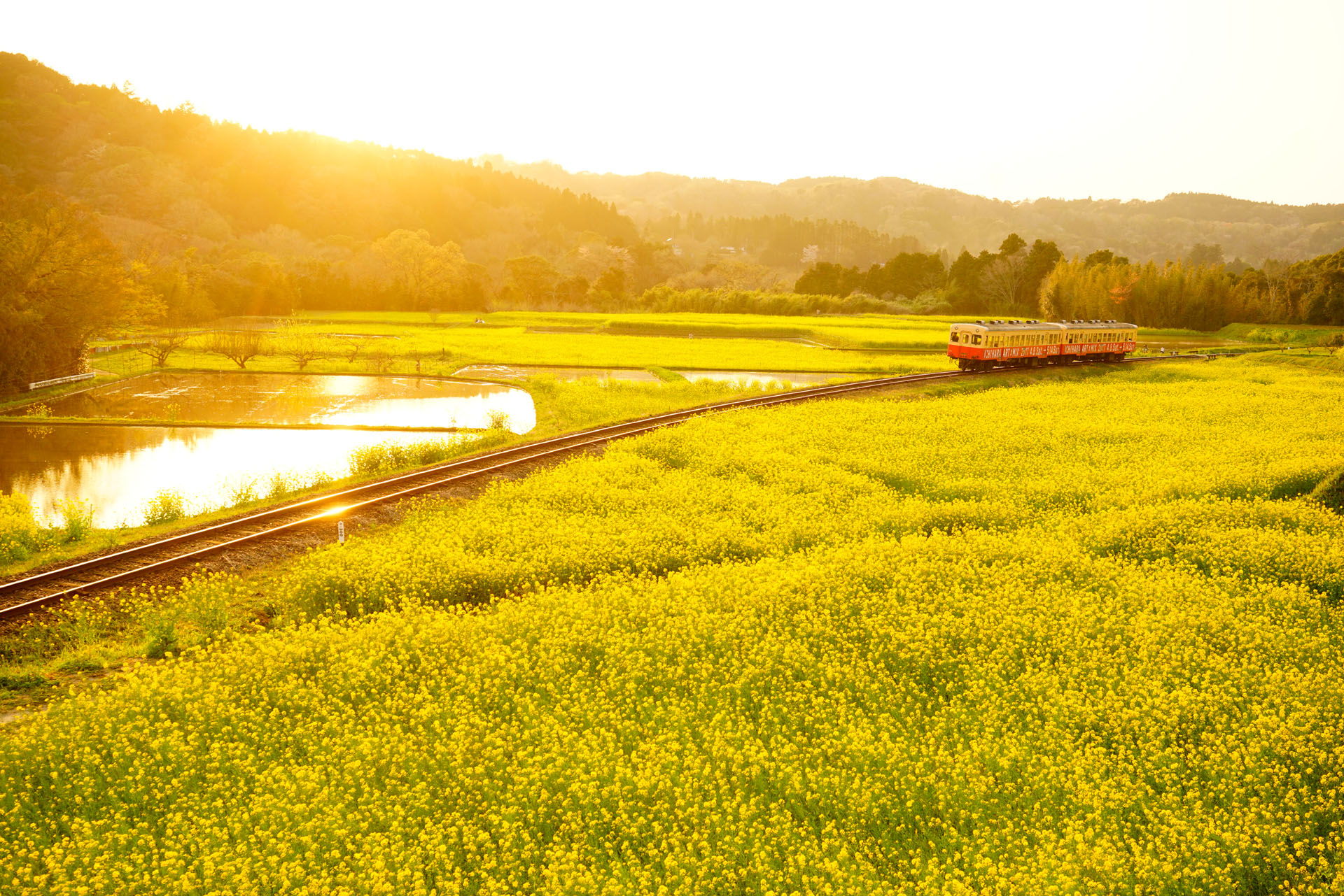 ソニーα7R II　FE 24-70mm F4 ZA OSS（38mm）　絞り優先オート（F5.6、1/320秒）　ISO400　WB:日陰　（A+2）　風景